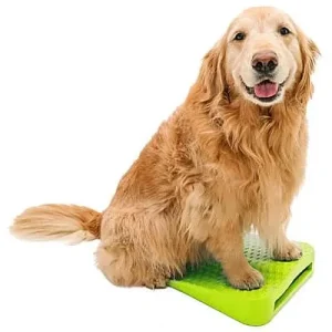 Clean Run FitPAWS Balance Ramp
