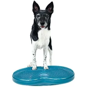 Clean Run FitPAWS Duo Disc