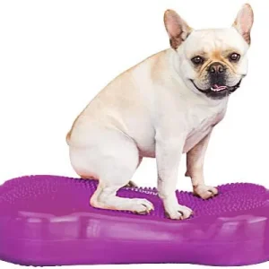 Clean Run FitPAWS K9FITbone Balance Bone - Standard