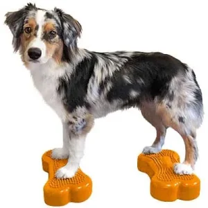 Clean Run FitPAWS K9FITbone Balance Bones - Mini, Set of 2