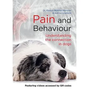 Clean Run Pain and Behavior: Understanding the Connection in Dogs