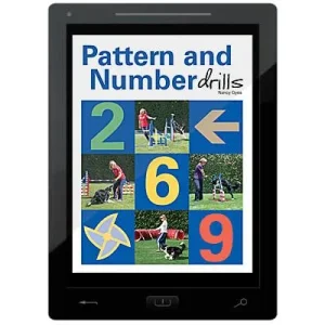 Clean Run Patterns and Number Drills E-Book