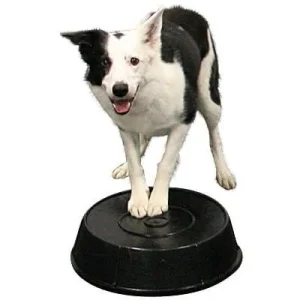 Clean Run Rubber Feed Pans for Mark Buckets & Perches