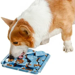 Clean Run Tall Tails Foraging Mat for Dogs - Rock