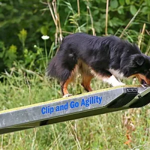 Clip and Go Agility Seesaw Add
