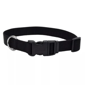 Coastal Adjustable Nylon Dog Collar with Plastic Buckle Black, 3/8 in x 8-12 in