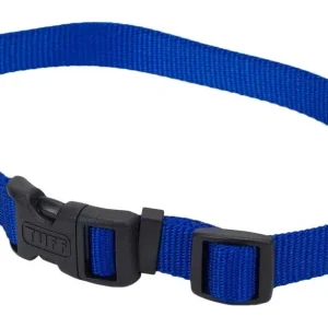Coastal Adjustable Nylon Dog Collar with Plastic Buckle, Blue, 3/4 in x 14-20 in