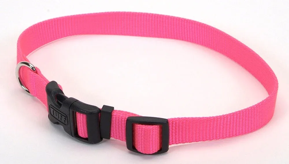 Coastal Adjustable Nylon Dog Collar with Plastic Buckle Neon, Pink, 5/8 in x 10-14 in