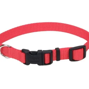 Coastal Adjustable Nylon Dog Collar with Plastic Buckle, Red, 3/4 in x 14-20 in