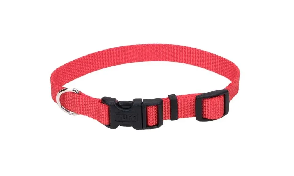 Coastal Adjustable Nylon Dog Collar with Plastic Buckle Red, 5/8 in x 10-14 in