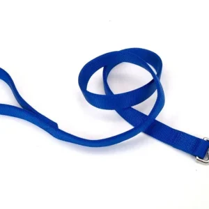 Coastal DoublePly Nylon Dog Leash Blue, 1 in x 4 ft