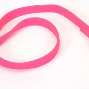 Coastal DoublePly Nylon Dog Leash Neon Pink, 1 in x 4 ft