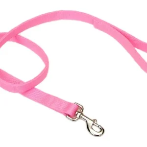 Coastal DoublePly Nylon Dog Leash Pink Bright, 1 in x 4 ft