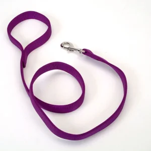 Coastal DoublePly Nylon Dog Leash Purple, 1 in x 4 ft