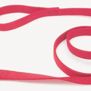 Coastal DoublePly Nylon Dog Leash Red, 1 in x 6 ft