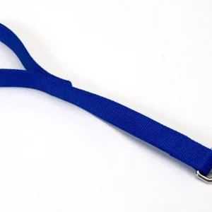 Coastal DoublePly Nylon Traffic Dog Leash Blue, 1 in x 24 in