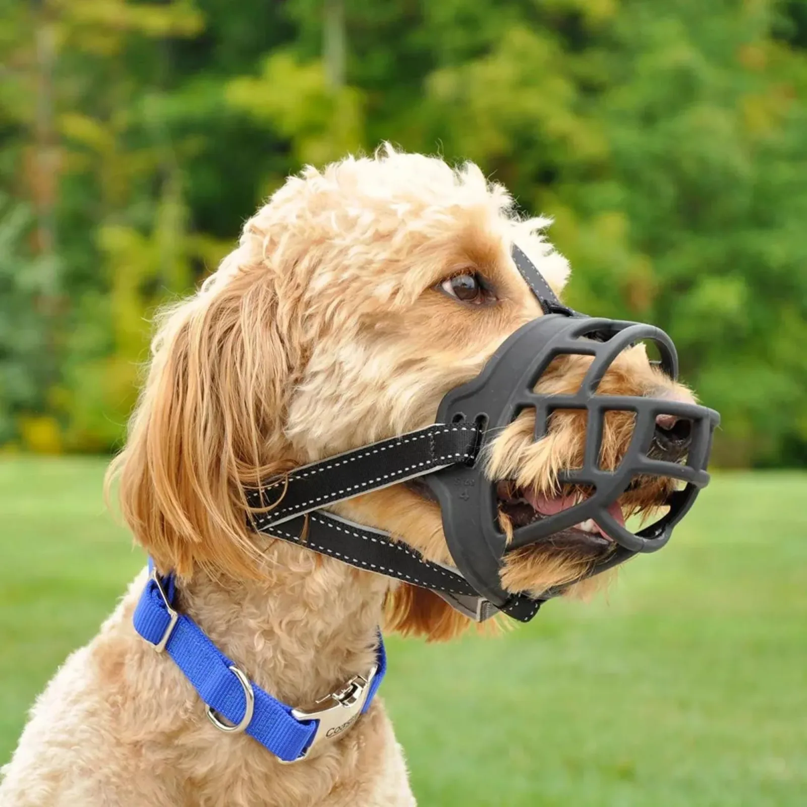 Coastal Pet Soft Basket Muzzle Black Size 3: W-10.5"x Large- 3.5 in