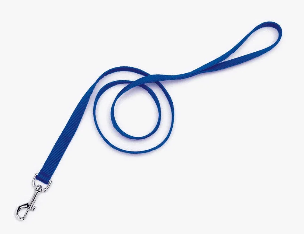 Coastal SinglePly Nylon Dog Leash Blue, 1 in x 6 ft
