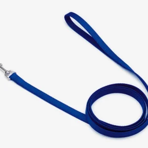 Coastal SinglePly Nylon Dog Leash Blue, 5/8 in x 4 ft