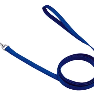 Coastal SinglePly Nylon Dog Leash Blue, 5/8 in x 6 ft