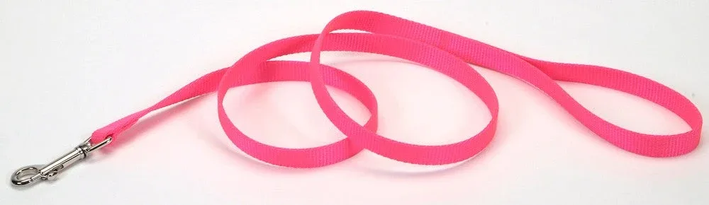 Coastal SinglePly Nylon Dog Leash Neon Pink, 3/4 in x 6 ft