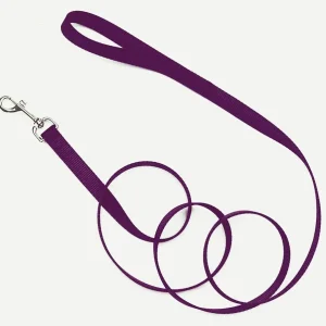 Coastal SinglePly Nylon Dog Leash Purple, 3/4 in x 4 ft