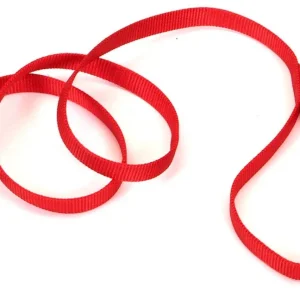 Coastal SinglePly Nylon Dog Leash, Red, 3/4 in x 6 ft