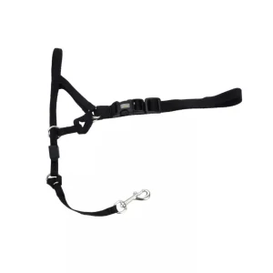 Coastal Walk 'n Train! Dog Head Halter Black Size 2