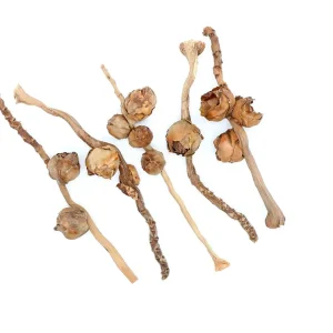 Coconut Petals