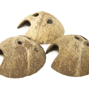 Coconut Shell Cave Hut