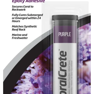 CoralCrete - Purple