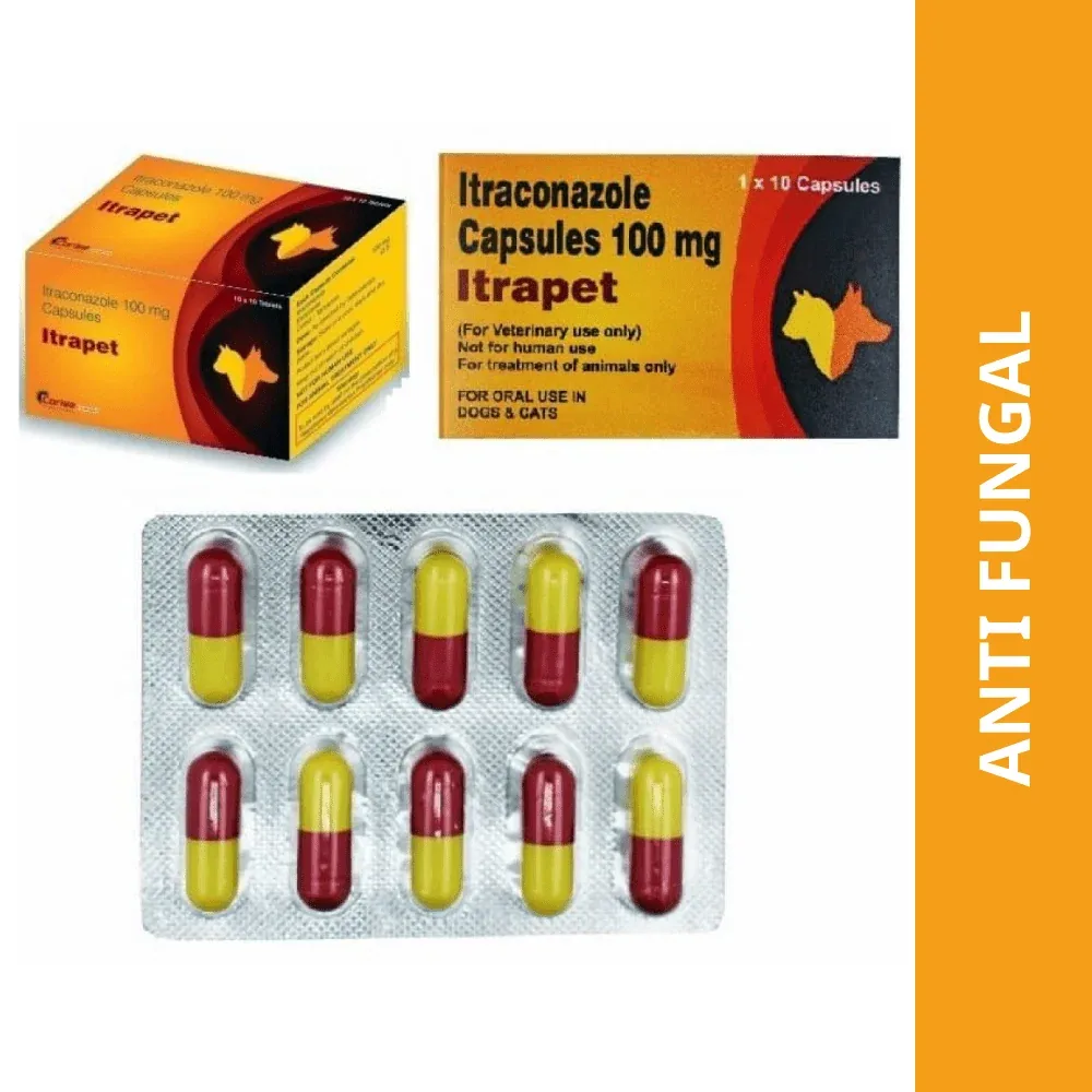 Corise Itrapet 100mg Capsules (Itraconazole) for Dogs and Cats