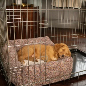 Cosy & Calming Puppy Crate Bed With Removable Covers In Rose Quartz Minerals by Lords & Labradors