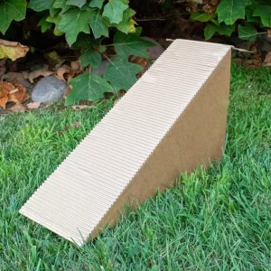 Cottontail Cottage Ramp ADDITION