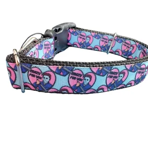 Crazy For You Nylon Dog Collar