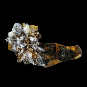 Creedite