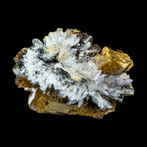 Creedite