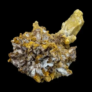 Creedite