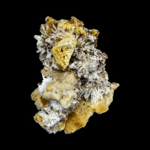 Creedite