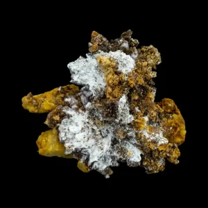 Creedite