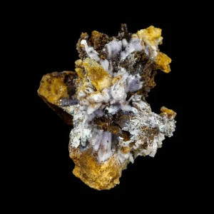 Creedite