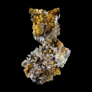 Creedite