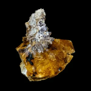 Creedite