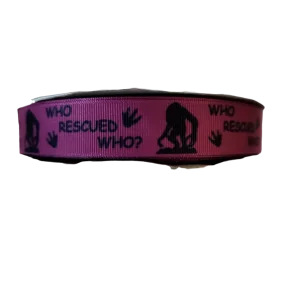 Cryptid Who Rescued Who Nylon Dog Collar