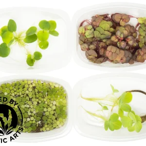 CYO Floating Plant Combo, Aquatic Arts Grown!