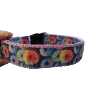 Dandelion Wish Nylon Dog Collar