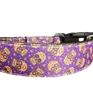 Day Of The Dead Skulls Nylon Dog Collar