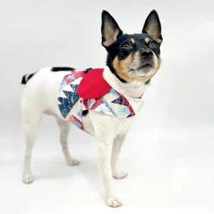 DCNY “Americana” Vest-Style Dog Harness