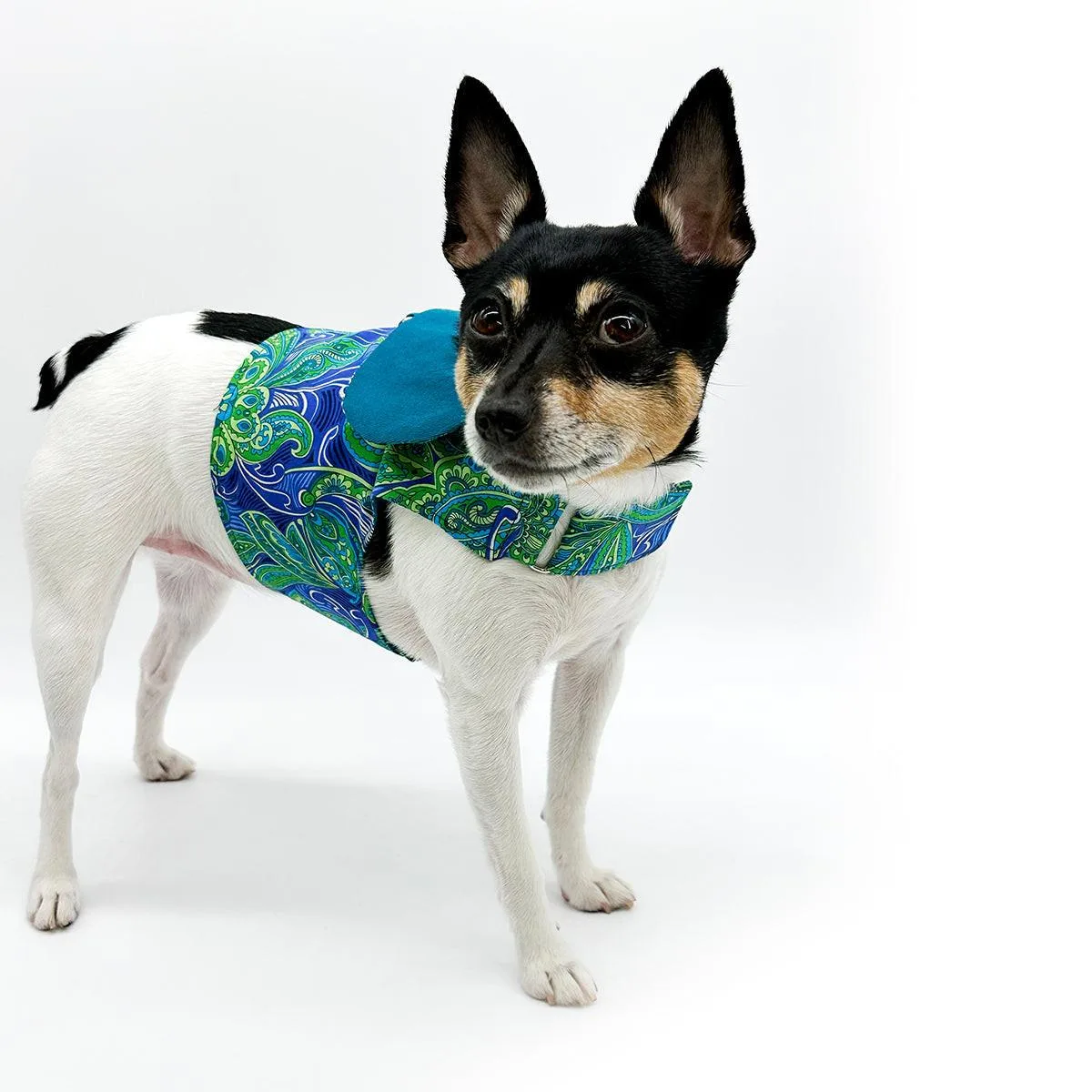 DCNY “Paisley Paws" Dog Harness Vest - Image 2