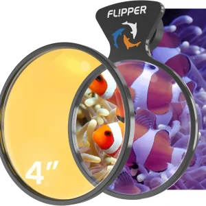 DeepSee Viewer - Orange Lens